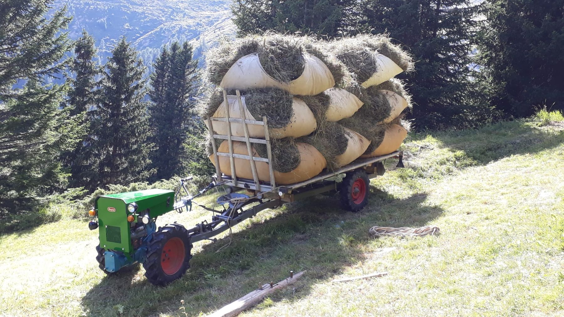 Rapid Trattori: Rapid Spezial Slanzi Dieselmotor Orginal – Usato da Tschlin venduto da jer_gf9z 2