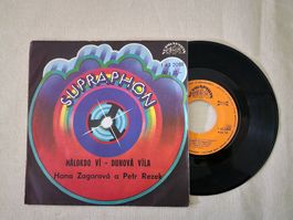 H. Zagorová* a P. Rezek* Single – Málokdo Ví • Duhová Víla