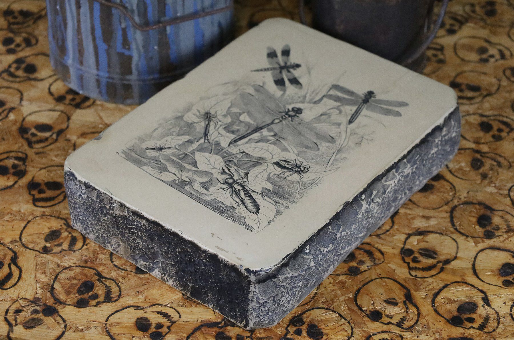 Grafiken & Lithographien: Lithostein, Lithographie "Libelle, Libellen" – Gebraucht aus Birrwil von brandschatz_birrwil 2