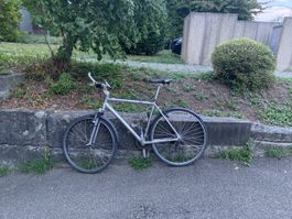 Stadtrad Silber 28 Zoll