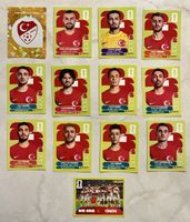 Panini WM 2026 Türkei!!! 13 verschiedene Sticker!!!