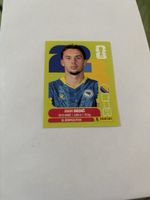 Panini Sticker WM 2026 Amar Dedić BIH 3