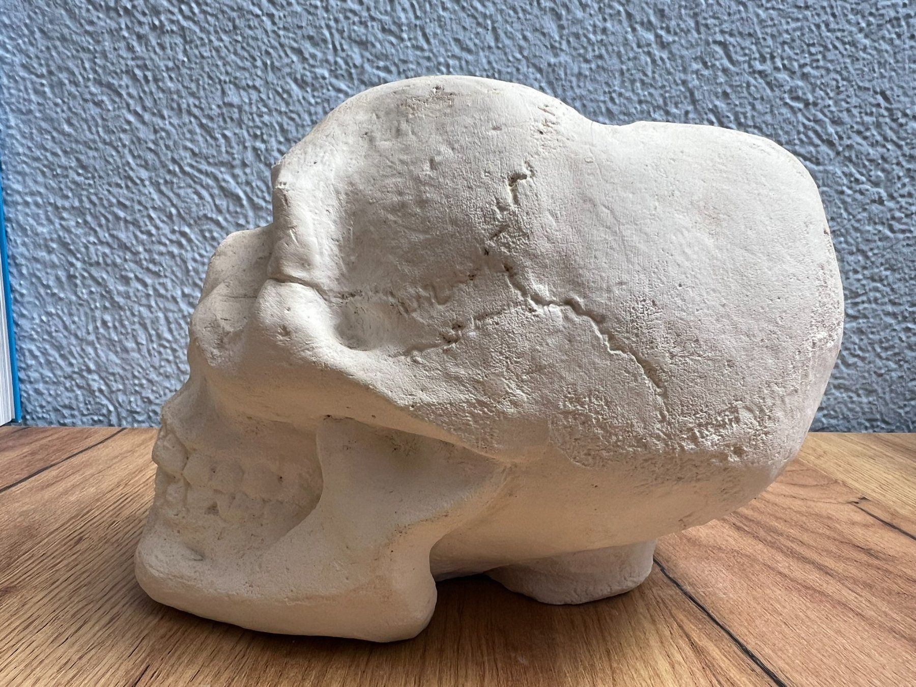 Tutte le decorazioni: Totenkopf - Aschenbecher oder Deko – Usato da Oberrieden venduto da Denadai64 2