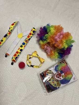 Clown costume accessories wig