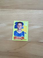 Panini Sticker Dzenis Burnic BIH 14 United Edition