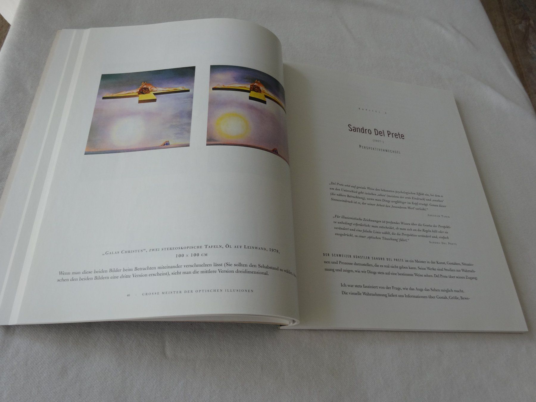 Libri: Meisterwerke Optischen Illusionen Al Seckel – Usato da Neerach venduto da jenny062 5
