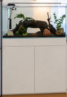 Aquarium mit Unterschrank