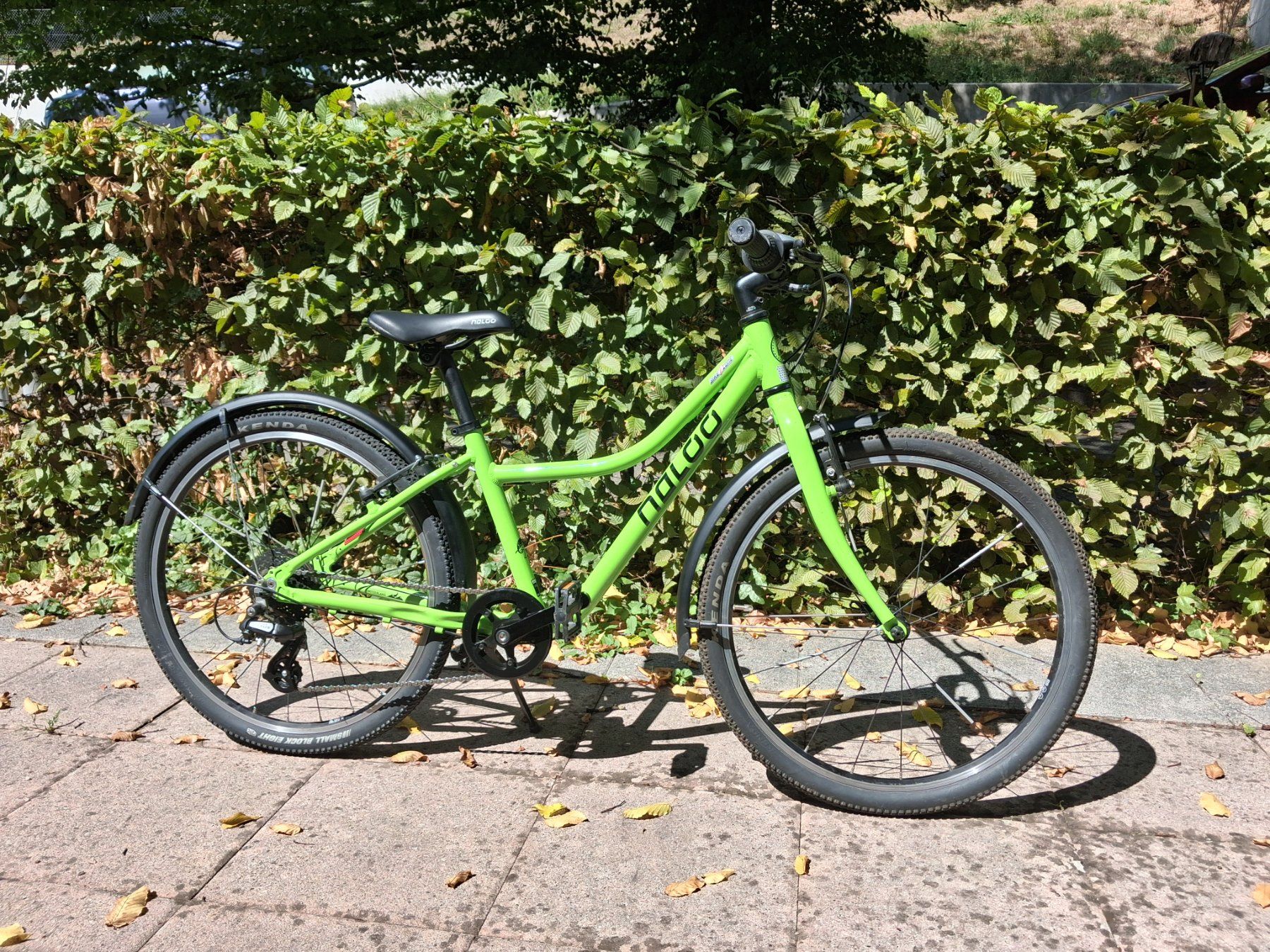 Naloo Biciclette: Naloo Chameleon 24'' MK2 light green – Usato da wettingen venduto da shirishiri