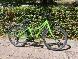 Naloo Chameleon 24'' MK2 light green