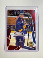 SportZoo Rico Gredig /20