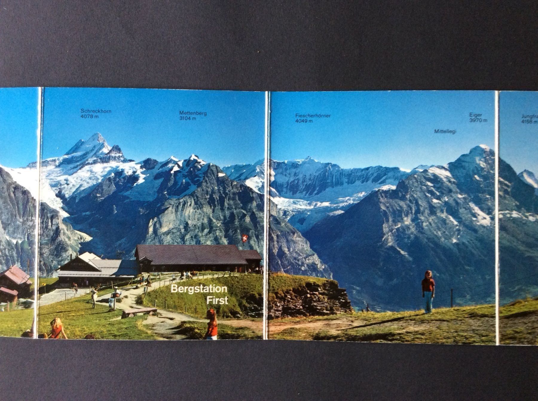 Cartine & Atlanti: Grindelwald Panorama – Usato da Widnau venduto da Brusi9 1
