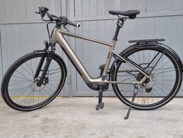 IBEX eTimeless