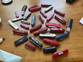 Messer-Set Victorinox Konvolut 31Stk. Nr 238