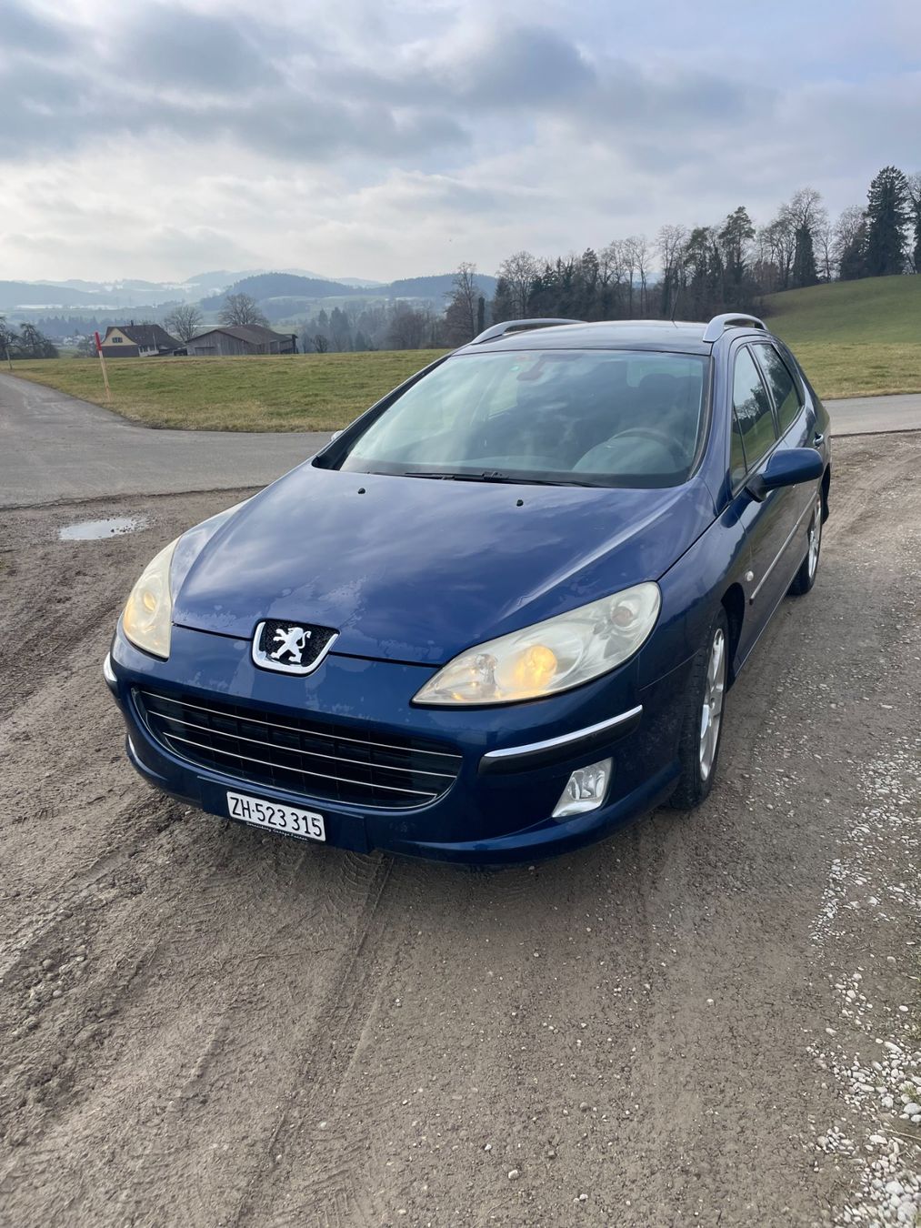 Peugeot Automobili: Peugeot 407 SW – Usato da Matzingen venduto da don.pedro