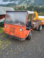 Aebi Transporter TP 20