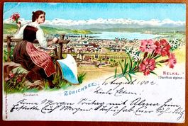 Zürich - Litho Zürichsee 1902... Schön !