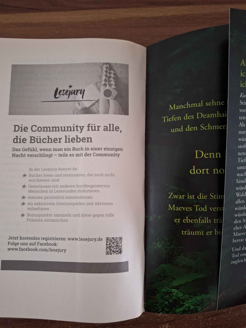 Bücher: Waldkind – Neu (gemäss Beschreibung) aus Grenchen von LaCa 3