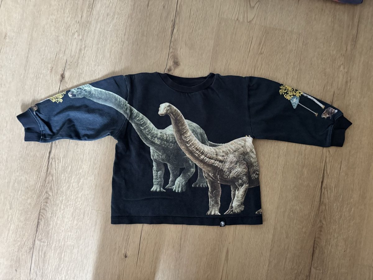Molo Pullover & Sweatshirts: Molo Dinosaurier Pullover 104 – Gebraucht aus Allschwil von KYJS