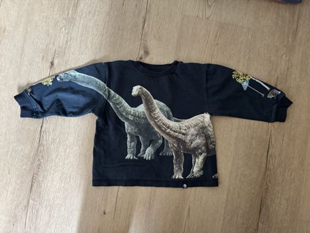 Molo Dinosaurier Pullover 104