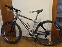 MTB Bulls Comp