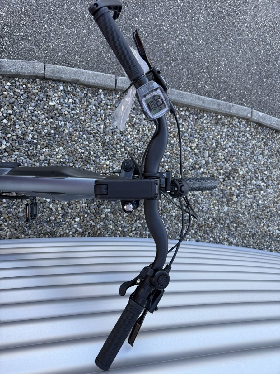 Bosch Biciclette: E-Bike 45Km/h Bosch Performance Speed – Usato da Alchenflüh venduto da Steal1 4