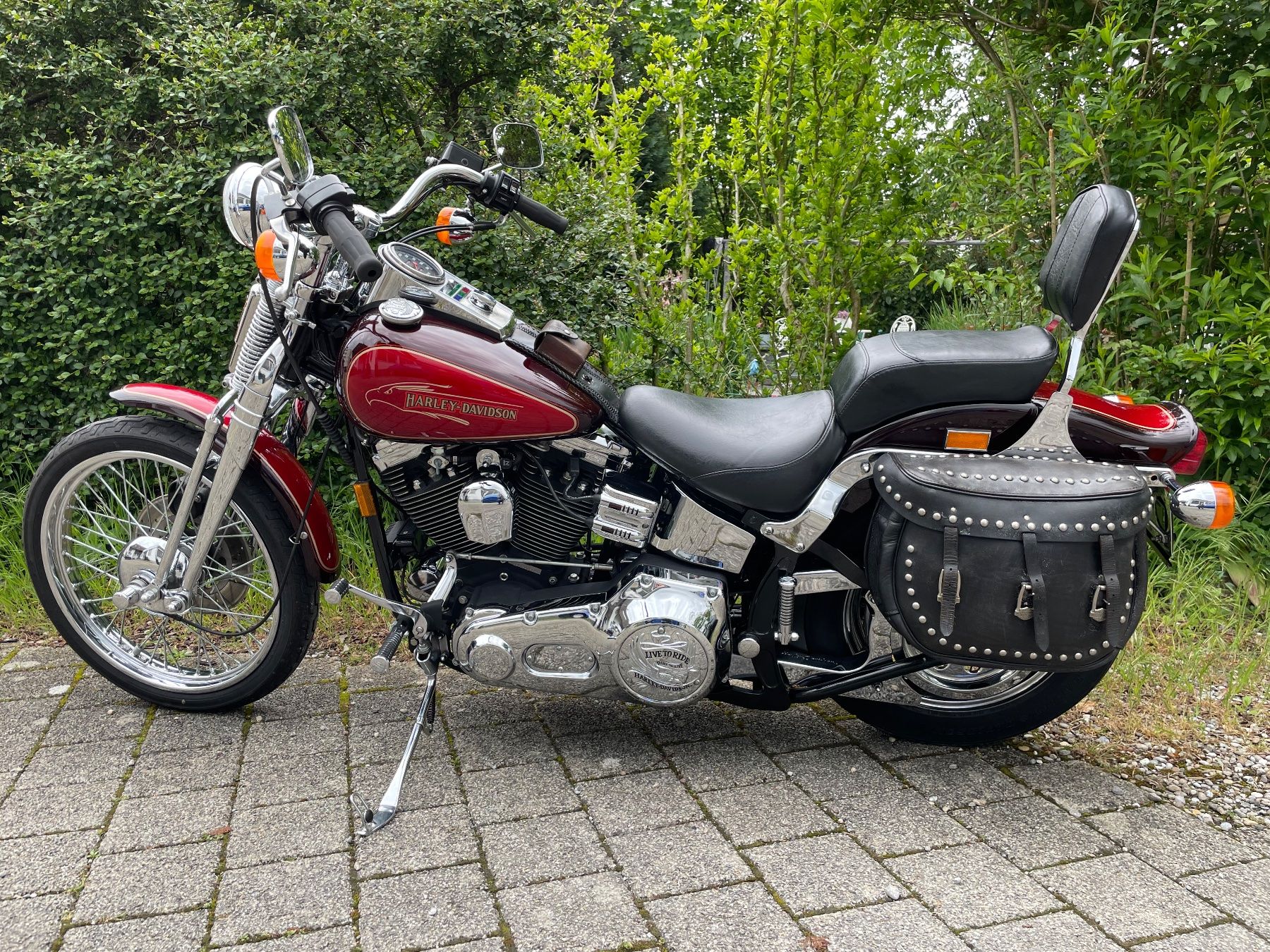 Harley-Davidson Cruisers: Harley Davidson Softail Springer EVO – D'occasion à Zuzwil SG par Remin66 4