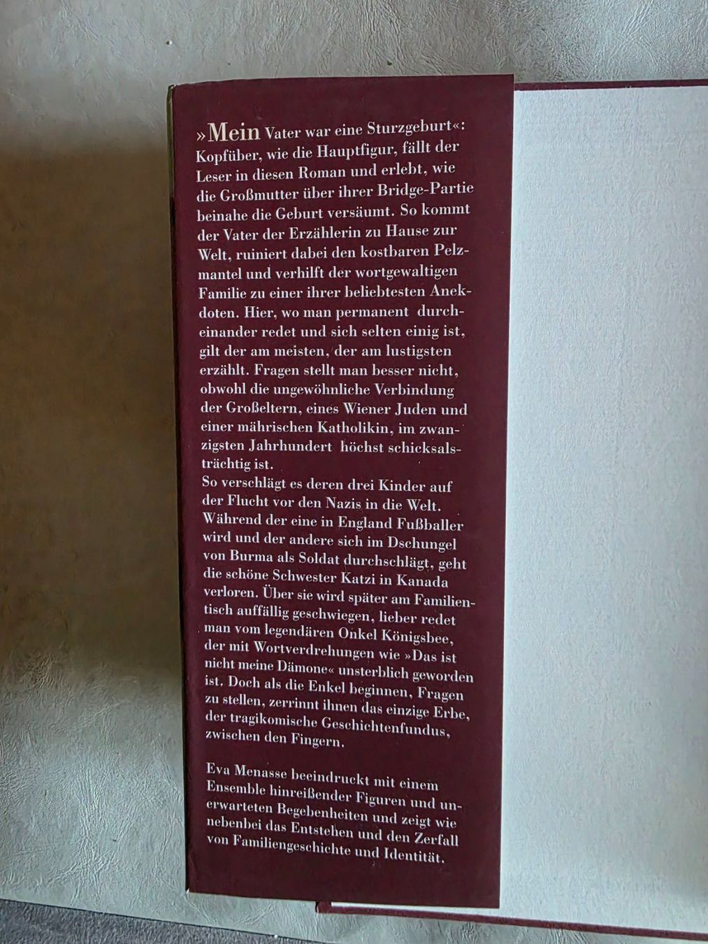 Libri: Eva Manesse - VIENNA - Roman - 2005 – Usato da Walterswil BE venduto da Lonitti 5