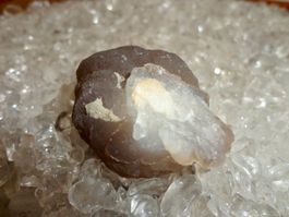 Chalcedon- Knolle