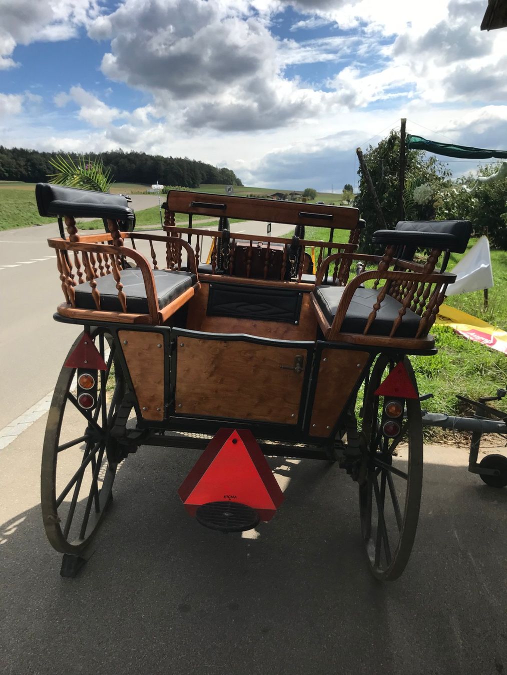 Carrozze: Pferdekutsche Wagonette – Usato da Niederhasli venduto da Fribi_bea 1