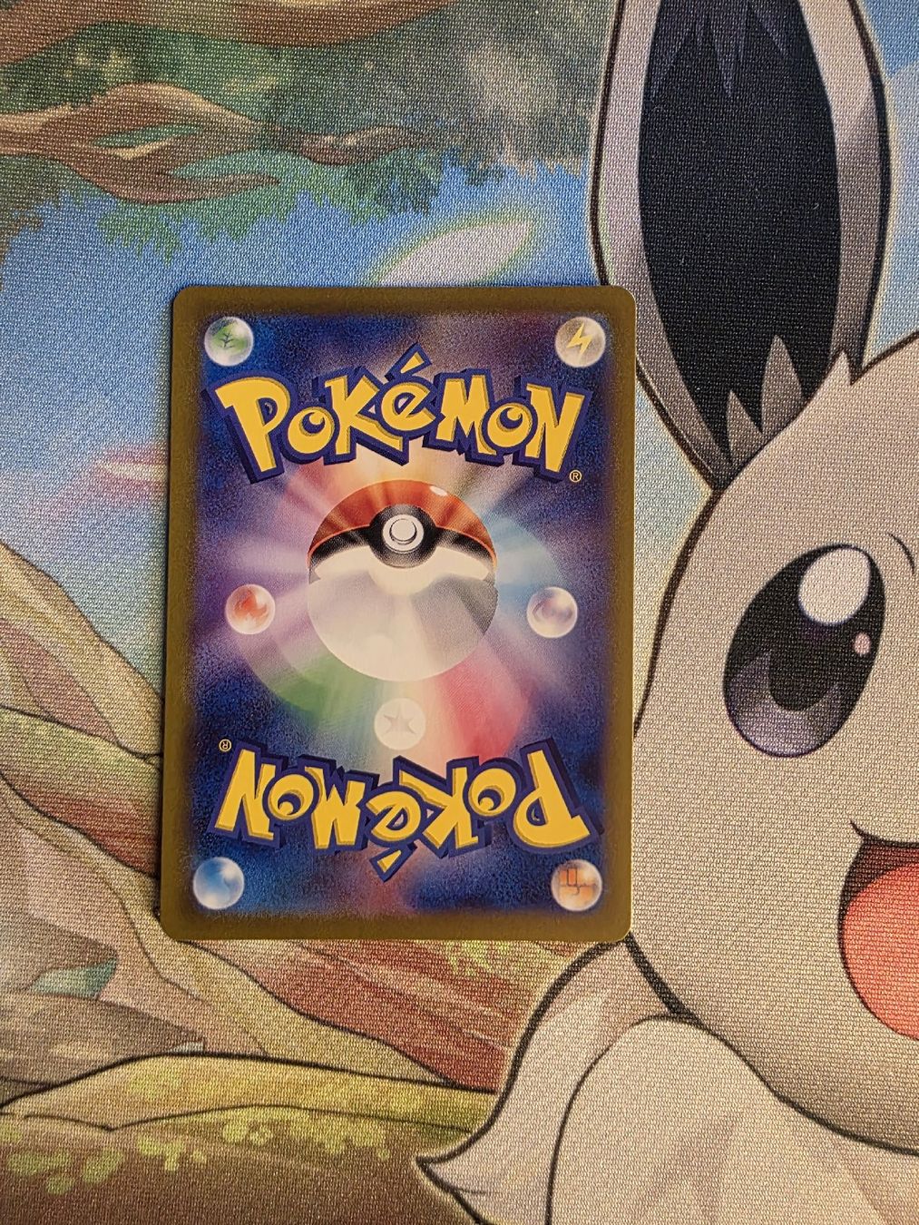 Pokémon Carte collezionabili: Charmeleon #5 Pokeball Reverse Holo! – Usato da Wohlen AG venduto da GreedyPkM 1