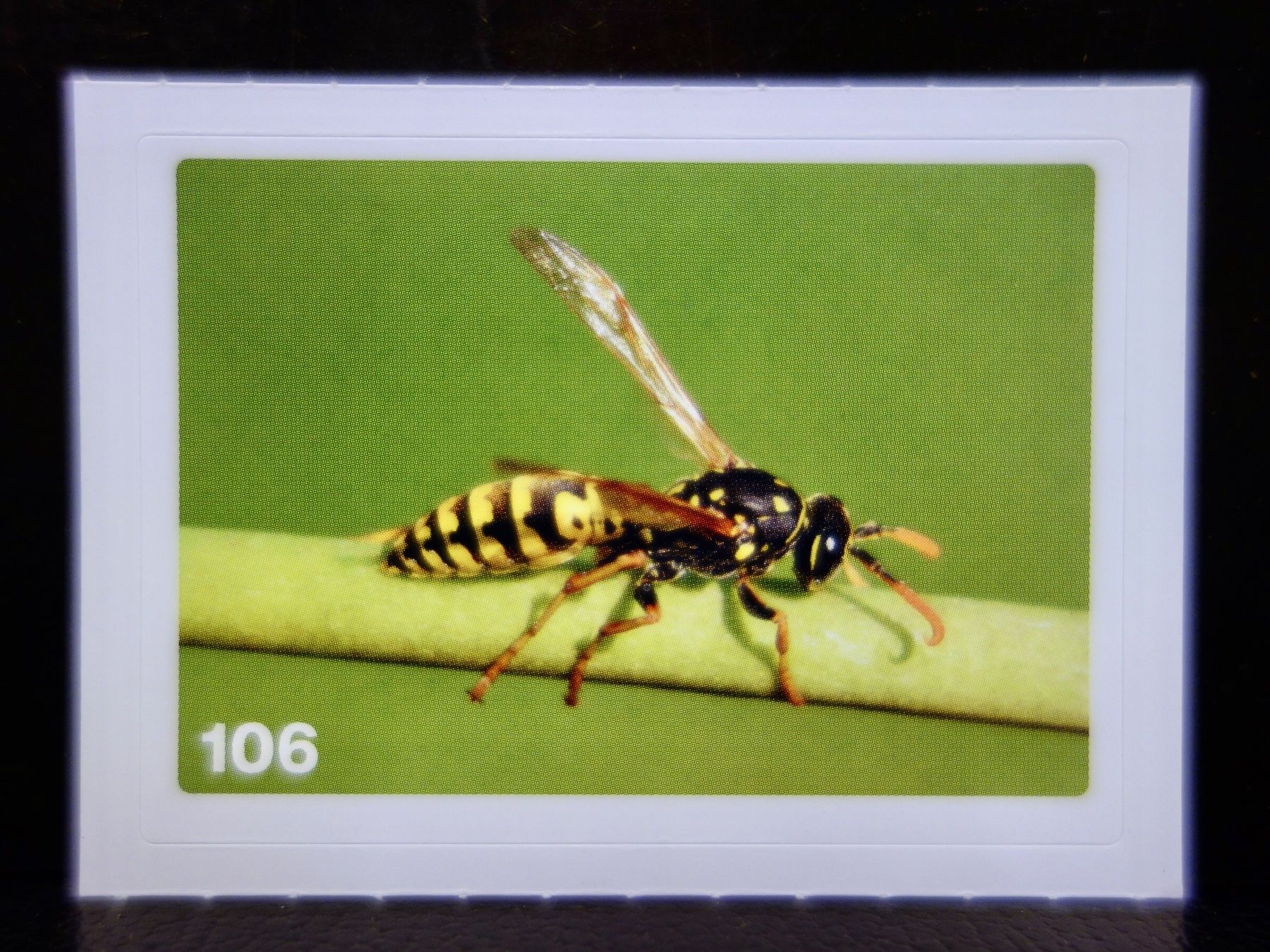 Migros Sammelbilder & Trading cards: MIGROS MANIA Nature Detectives Nr. 106 – Neu und originalverpackt aus Kerzers von djstarsky73