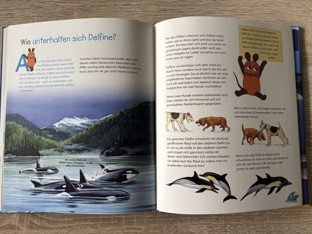 Livres: Sachbuch: Wale und Delfine – D'occasion à Niederwangen b. Bern par muidop 2