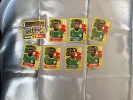 Senegal Panini WM 2026