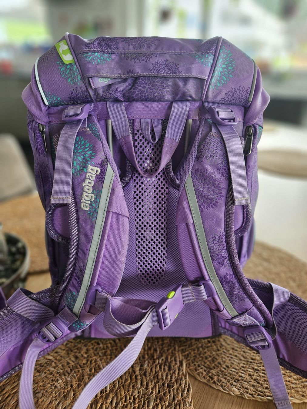 Ergobag Rucksäcke: Ergobag Set: Schulrucksack, Turnsack, Etui – Gebraucht aus Schliern b. Köniz von sciurrrus 4