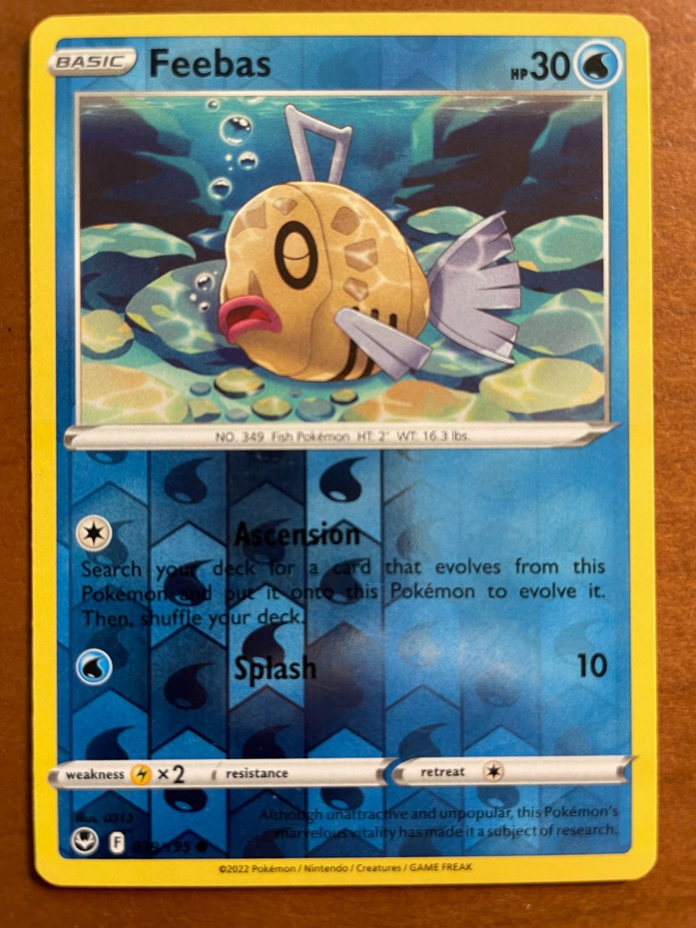 Pokémon Carte collezionabili: Pokemon Feebas Reverse (Versand gratis) – Nuovo (secondo la descrizione) da Chur venduto da Angerson