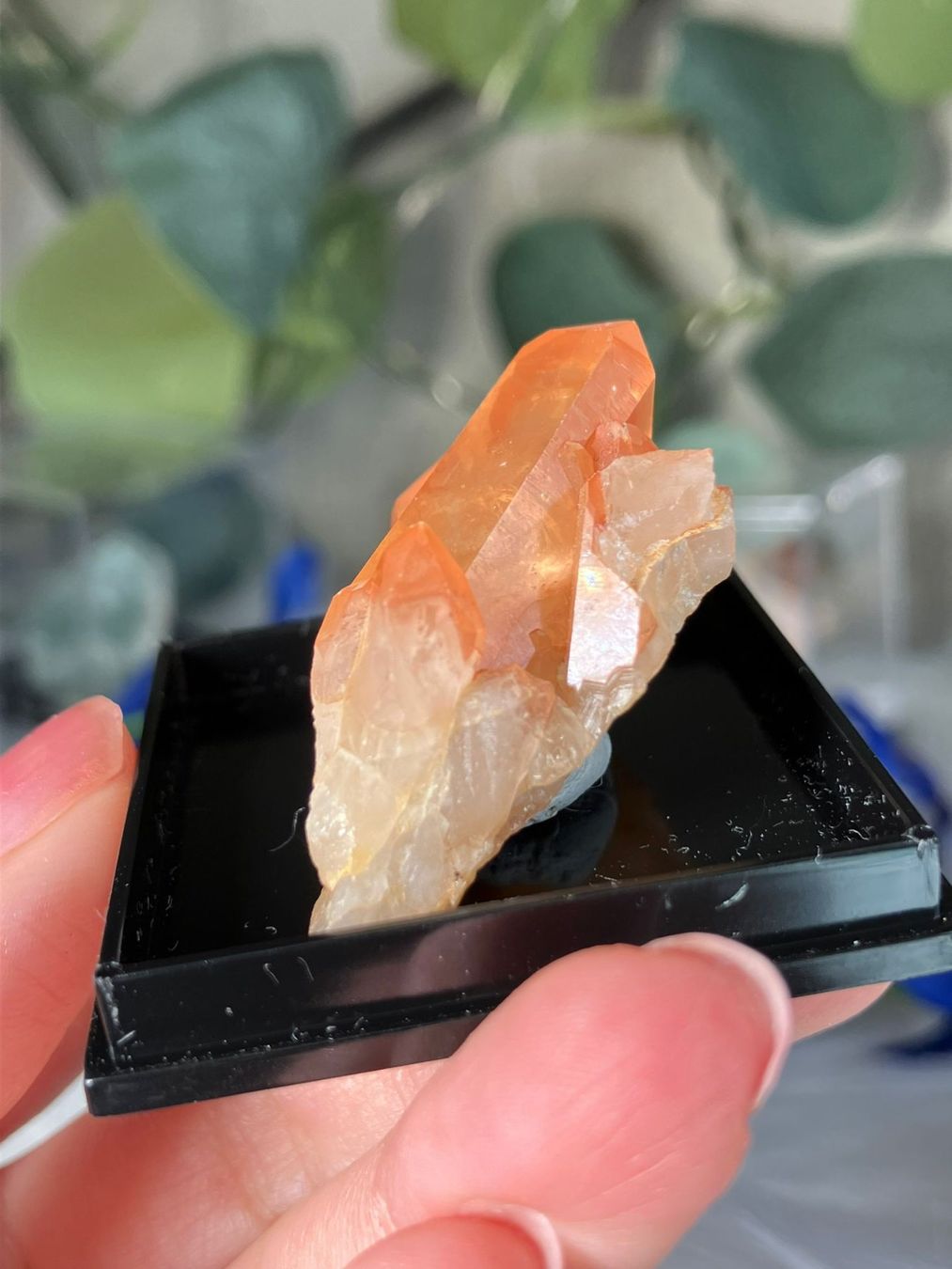 Minerali & Pietre curative: Tangerine Quarz-Cluster – Usato da Neuheim venduto da m.hald 3