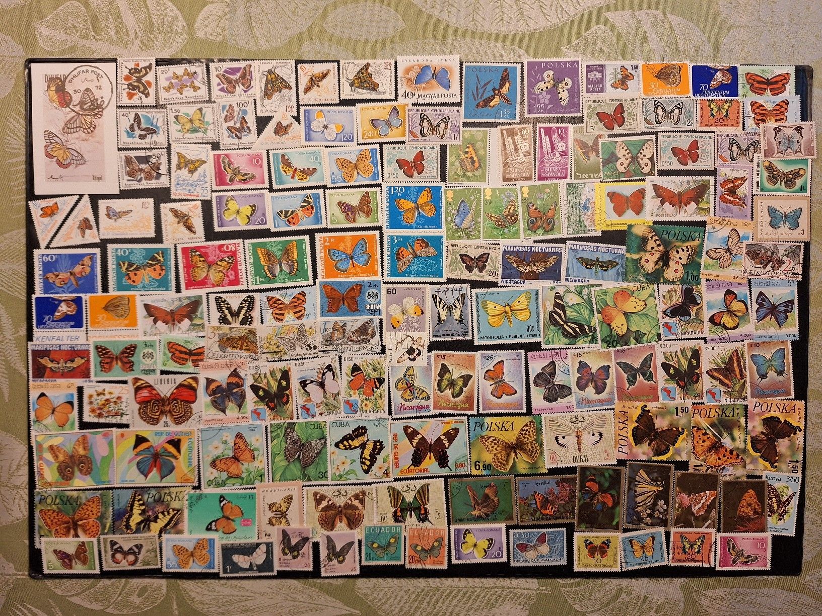Tutti i francobolli: Schmetterlinge Briefmarken: schöne grosse Sammlung – Usato da Genolier venduto da Antoine30 1