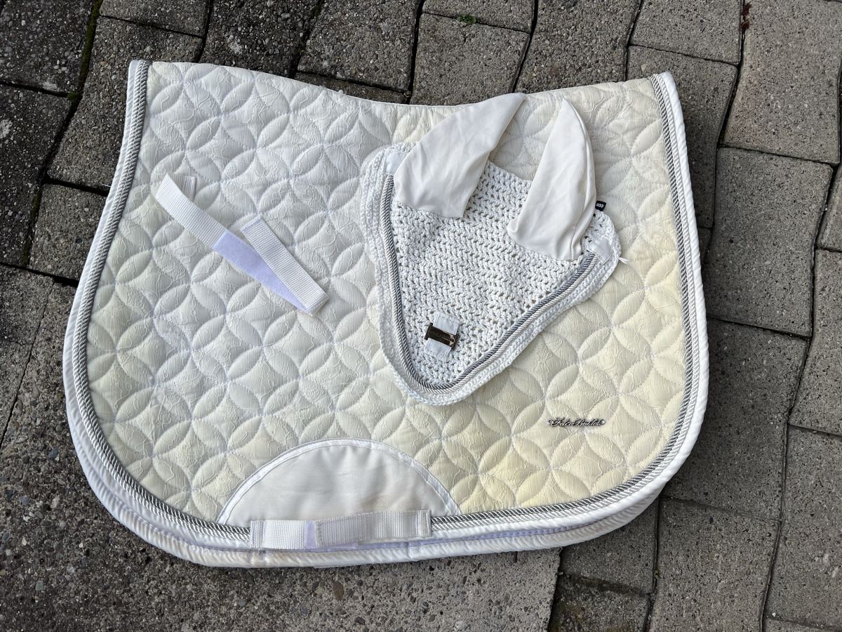 Felix Bühler Coperte: Felix Bühler Schabracken set – Usato da Niederhasli venduto da secondhand10