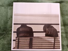 Metz - II LP Noise Metal Grunge