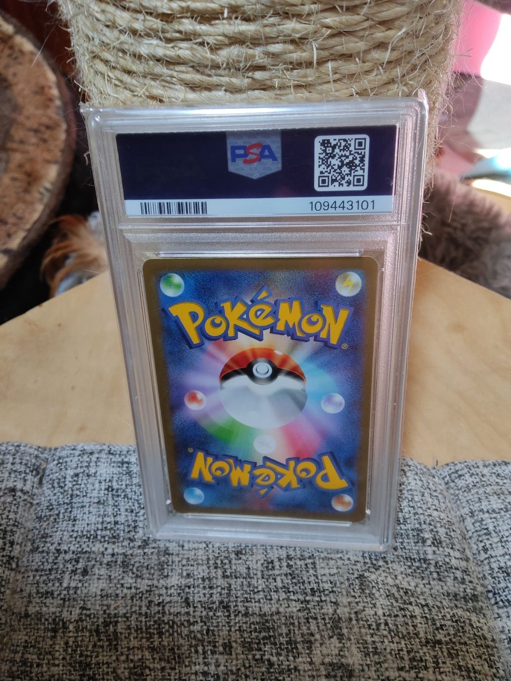 Pokémon Carte collezionabili: Decenne CoroCoro 2013 XY PROMO #13 PSA 8 – Usato da Vezio venduto da 41181 1