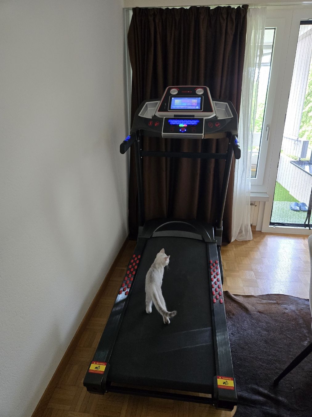 Bodyswiss Vélos d'appartement: Lauftband Bodyswiss – D'occasion à Dübendorf par dia_7ftl