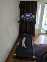 Lauftband Bodyswiss