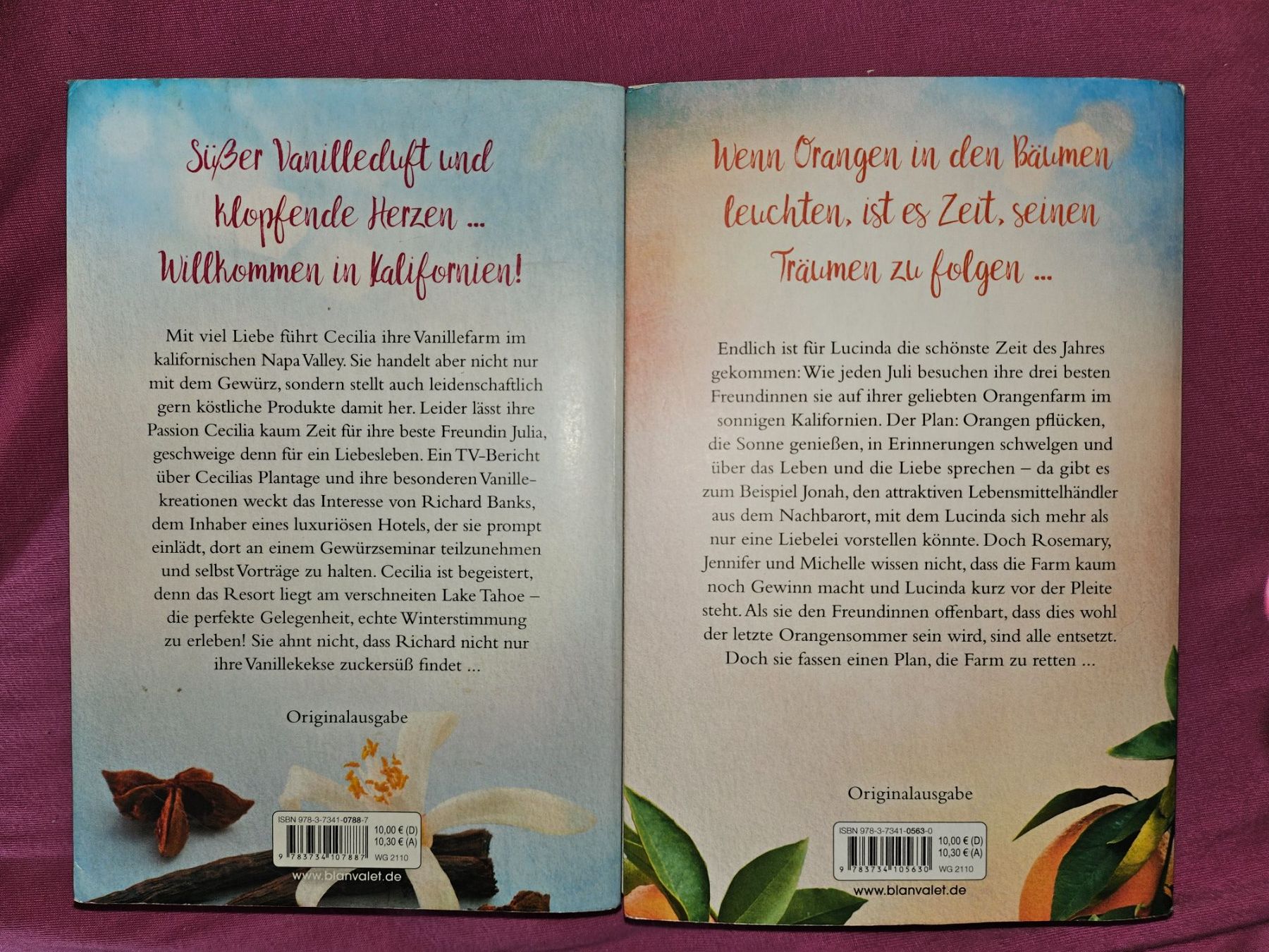 Bücher: Bücherpaket B – Gebraucht aus Thun von Shame 1
