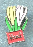 Wernli  Krokus