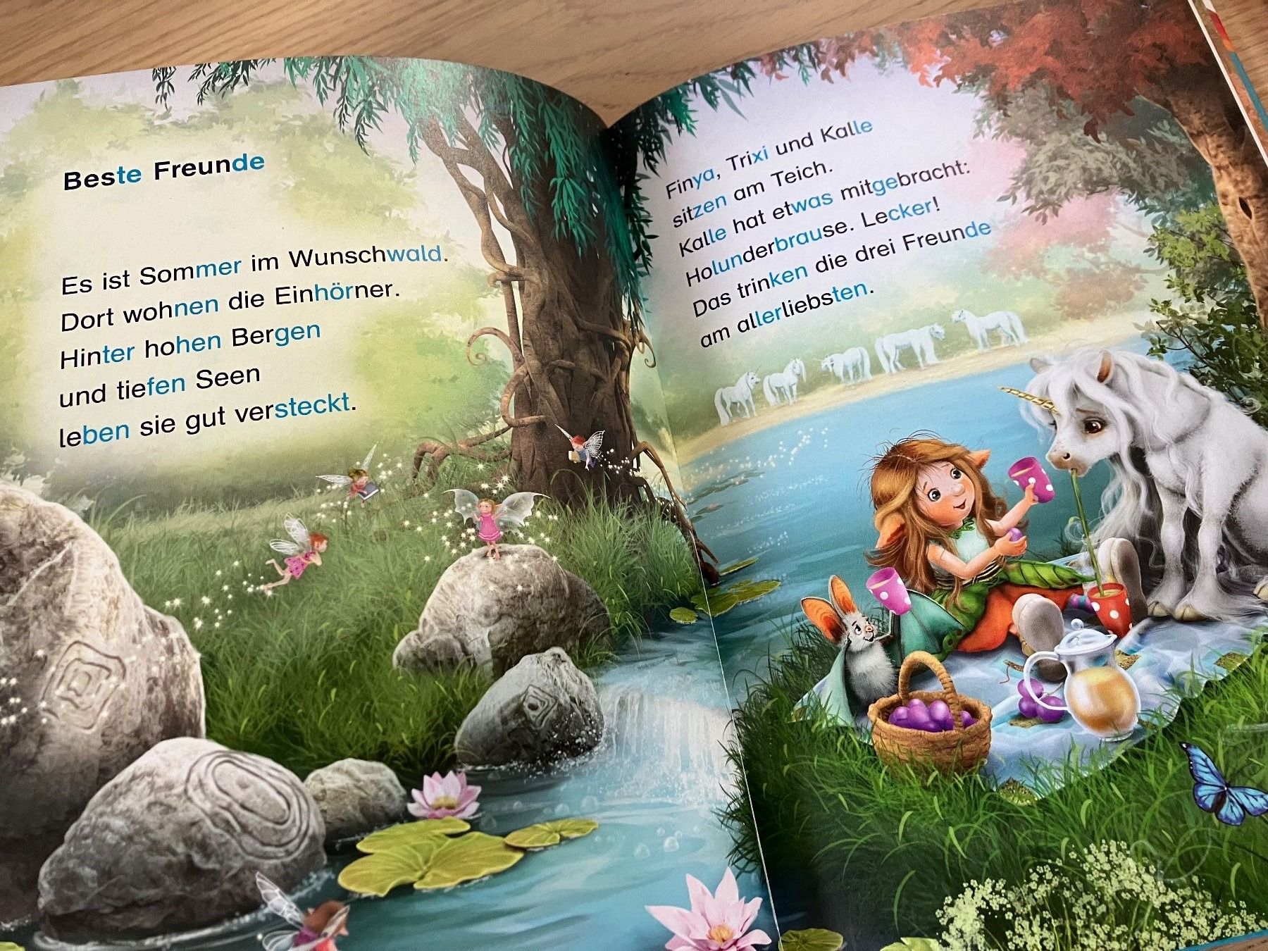 Libri: Bücherset 1. Klasse Bücherbär – Usato da Weissbad venduto da Praxedis_P51 9