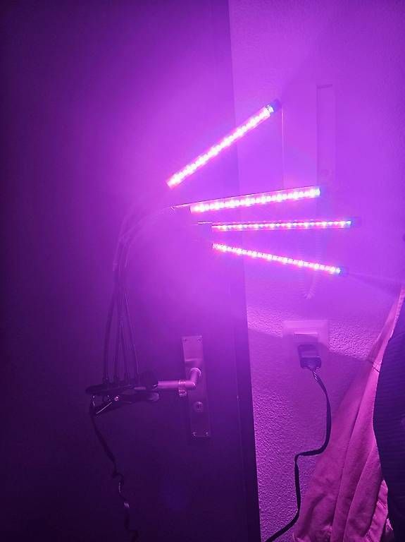 Lampade: 4-armige LED-Pflanzen-Aufzuchtleuchte  – Nuovo e nell'imballaggio originale da Frauenfeld venduto da mha_vqf2