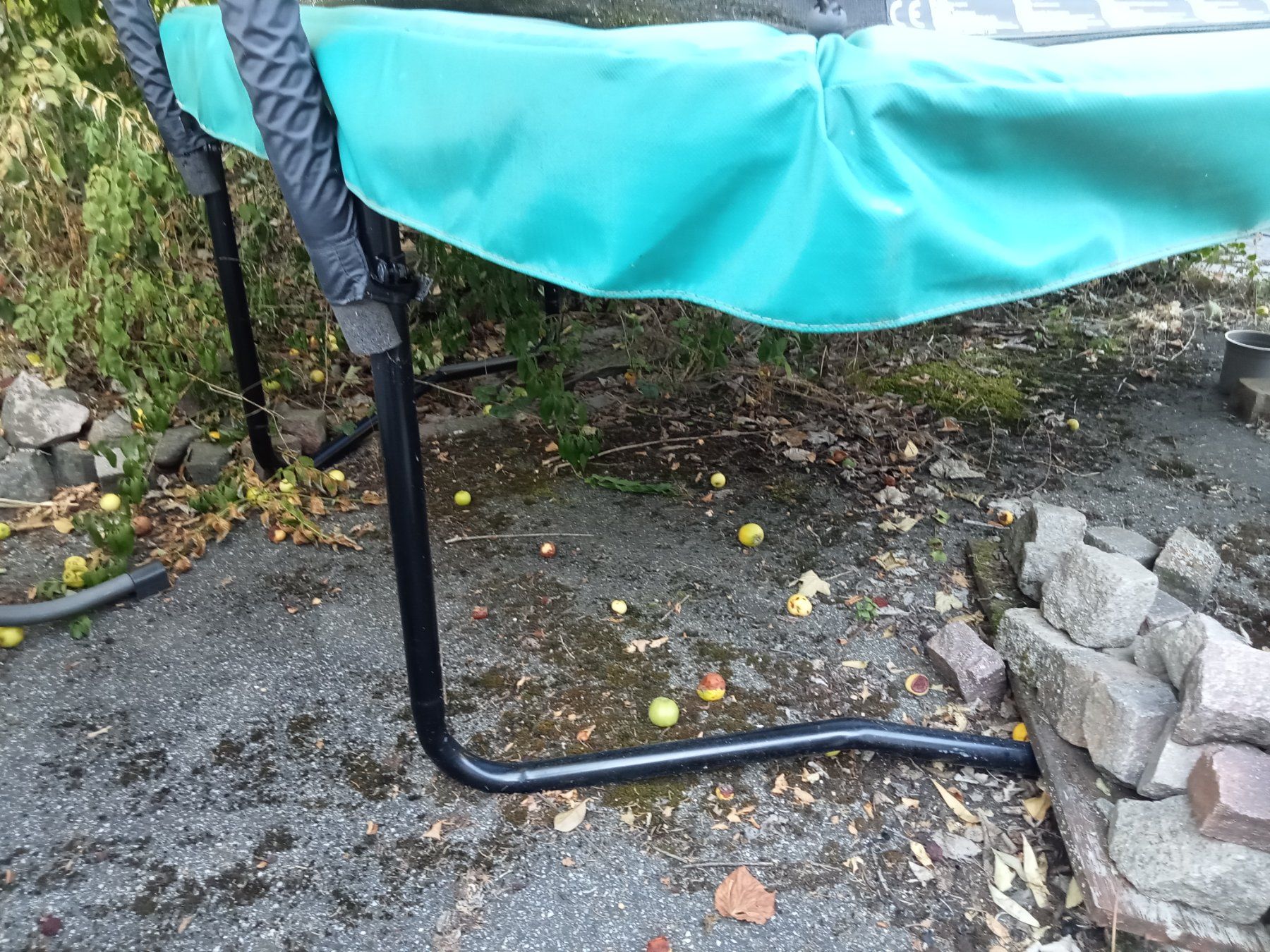 Trampoline: Trampolin – Gebraucht aus Zetzwil von sih_wvf9 1