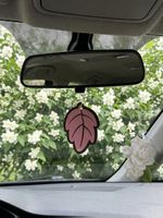 Duftbaum Wunderbaum Herbstblatt Duftnote Jasmine