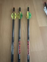 Pfeile Easton Powerflight Carbon 3 Stück Jagdspitzen guter Z