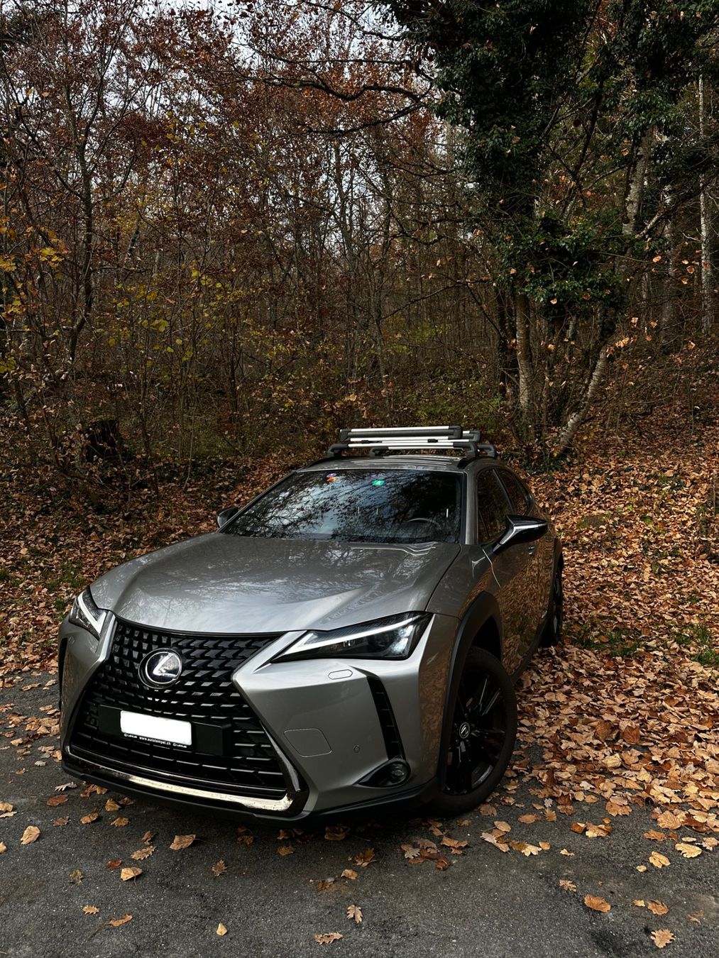 Lexus Autos: Lexus ux250h – Gebraucht aus Nyon von teo_jp5r